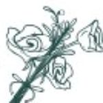 Group logo of Funeral FLowers @Sincere FlowersUSA